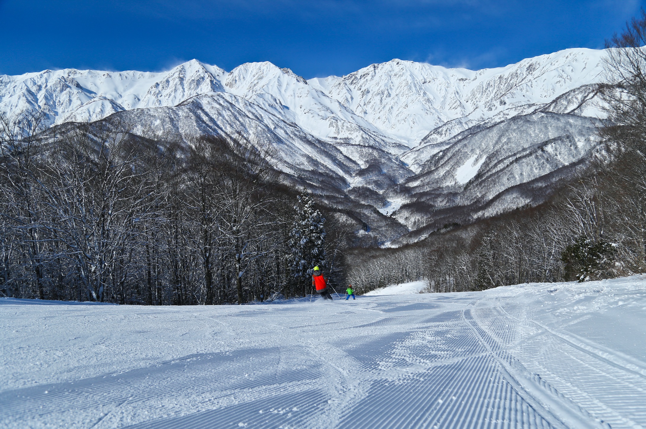 白馬岩岳スノーフィールド