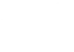 Q1